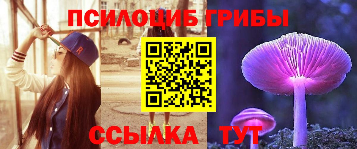 Галлюциногенные грибы мицелий Тихвин
