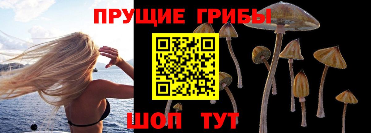 Тихвин  Псилоцибиновые грибы ЛСД  Вход с VPN 